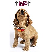 מכשיר איתור ייעודי לכלב tbpt